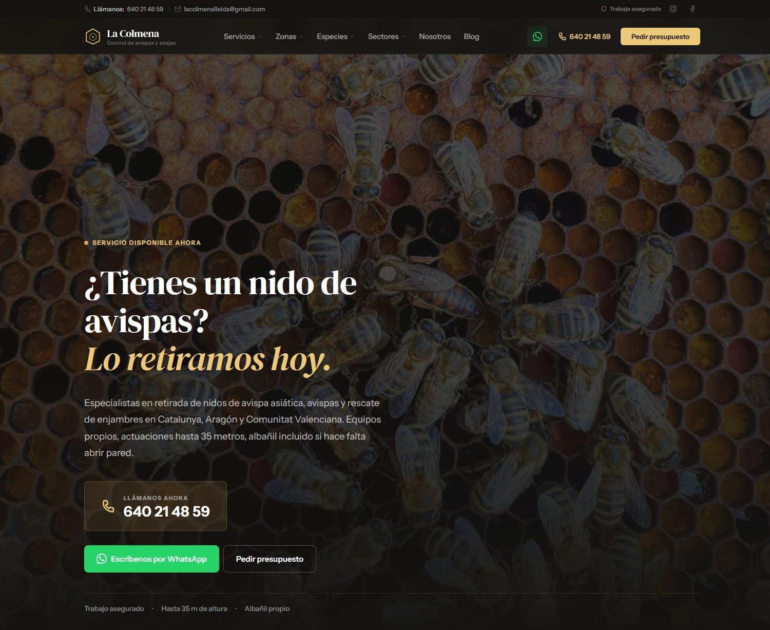AVISPAS LA COLMENA - Web Corporativa