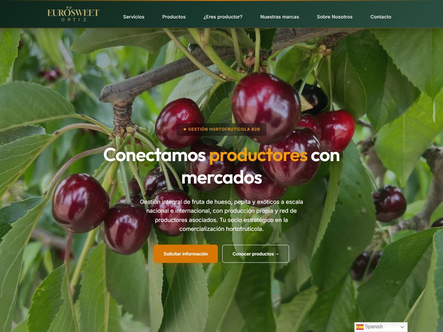 EURO SWEET ORTIZ: Comercialización de fruta para productores
