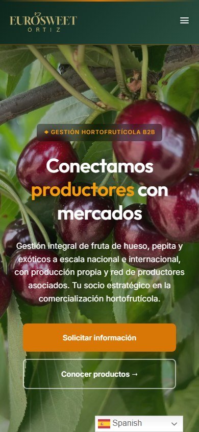 Web real de Euro Sweet Ortiz: vista móvil