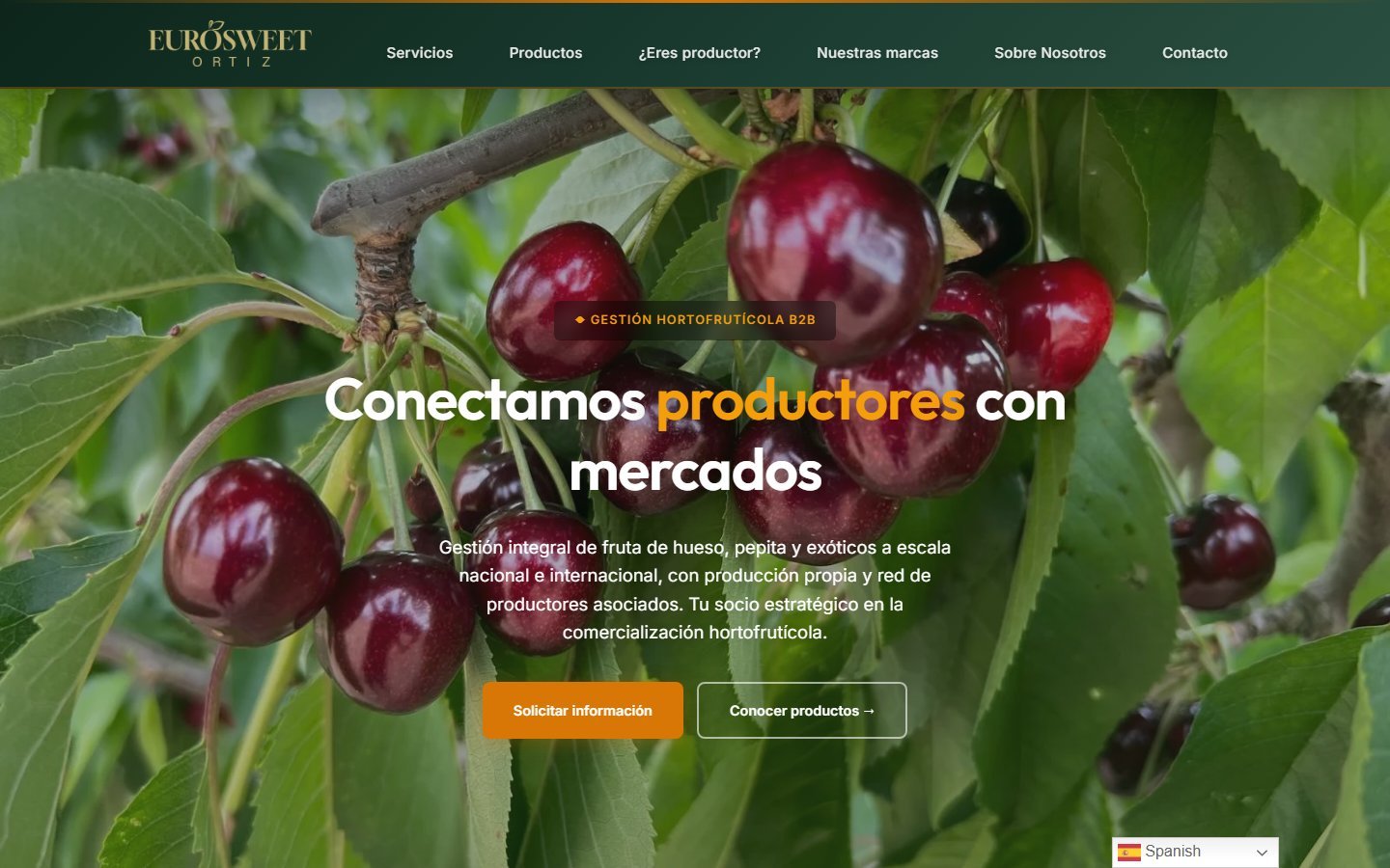 EURO SWEET ORTIZ — web Corporativa