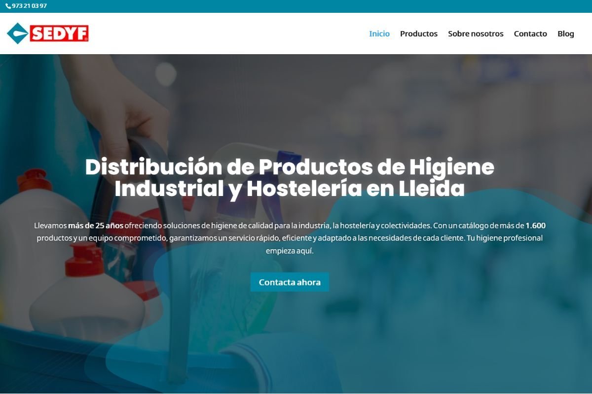 SEDYF - Web Corporativa