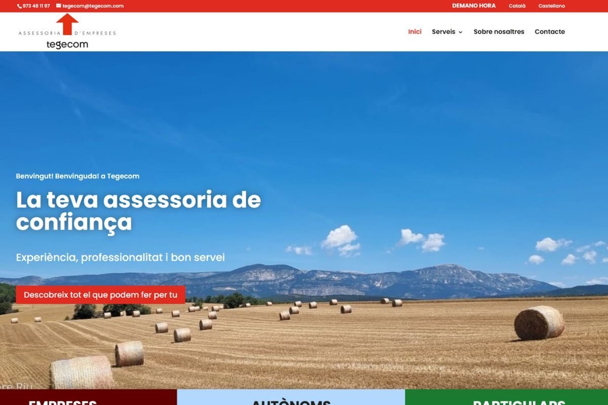 TEGECOM - Web Corporativa