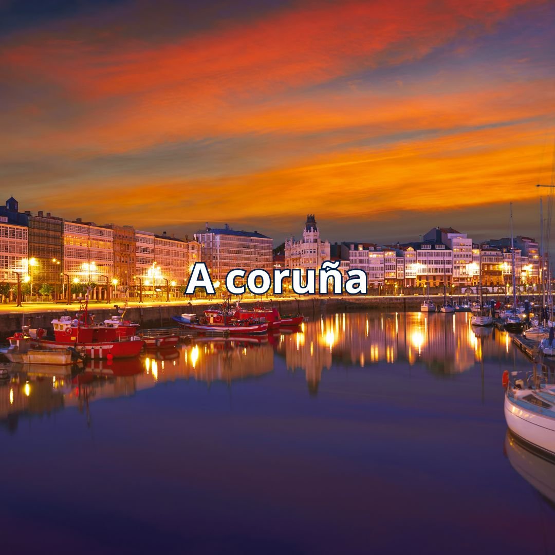 diseño-web-ilernetwork (1)