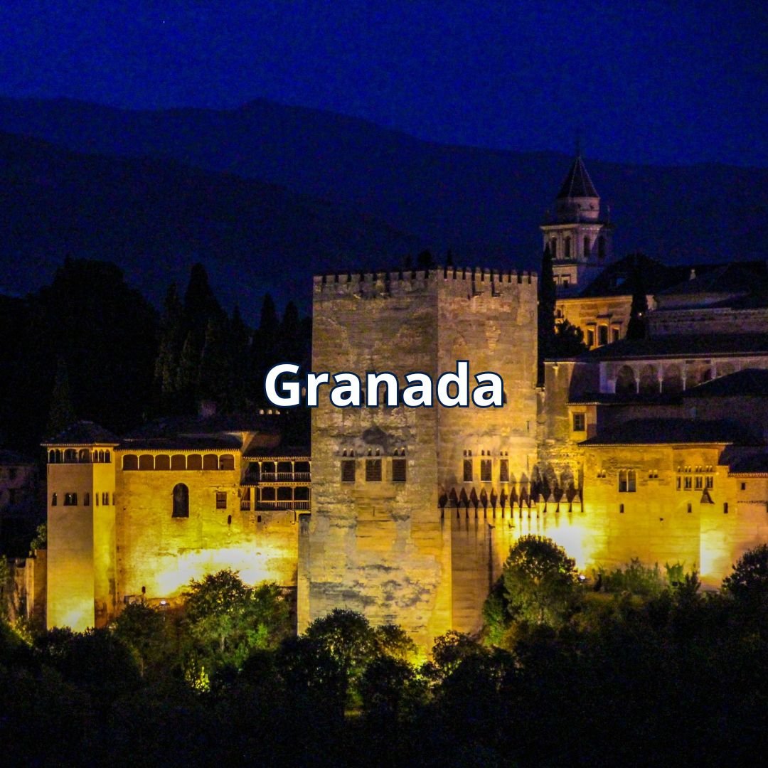 diseño-web-ilernetwork (2)