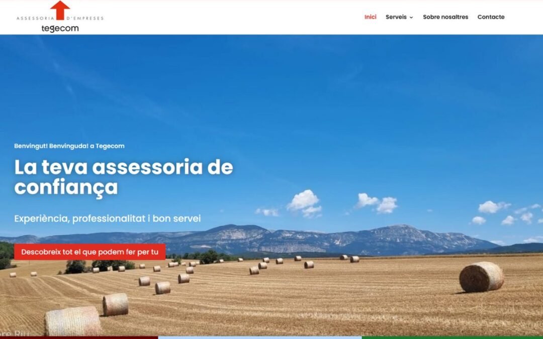 Tegecom: Soluciones Integrales en Asesoría para Empresas y Autónomos